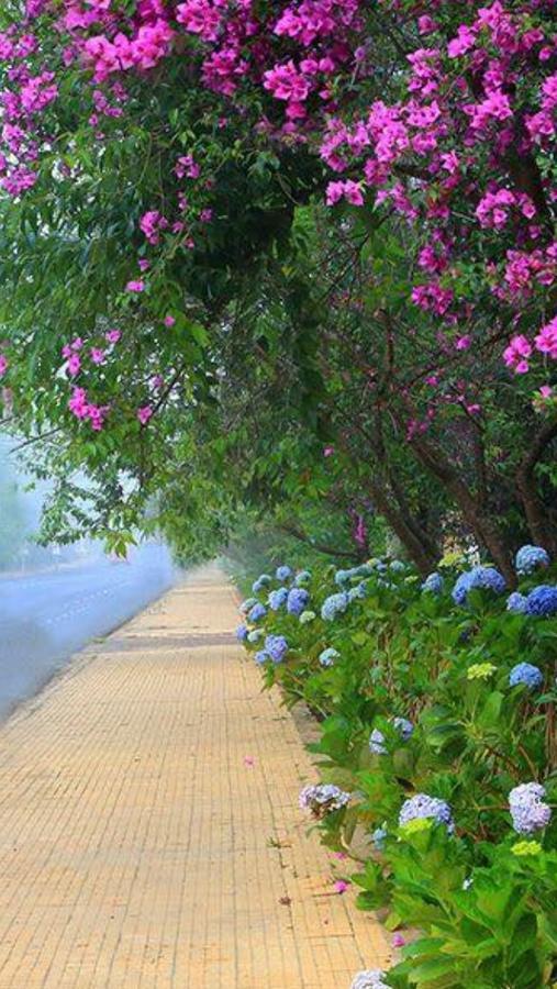 Hostel Phuong Nga Dalat Bagian luar foto
